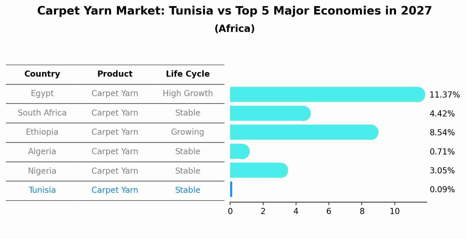 Carpet Yarn Market: Tunisia vs Top 5 Major Economies in 2027 (Africa)