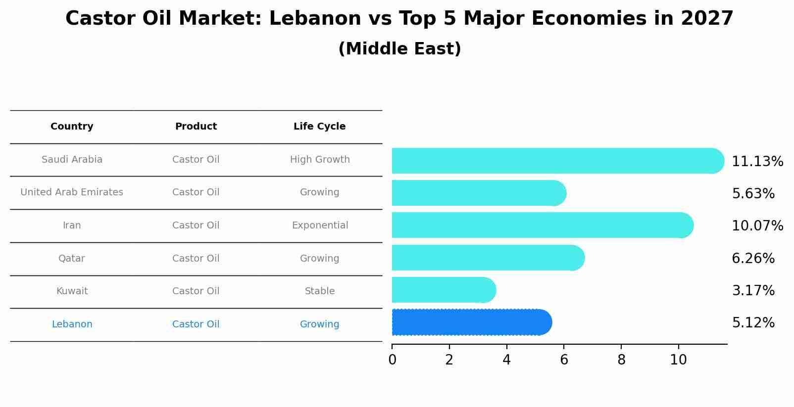 Castor Oil Market: Lebanon vs Top 5 Major Economies in 2027 (Middle East)