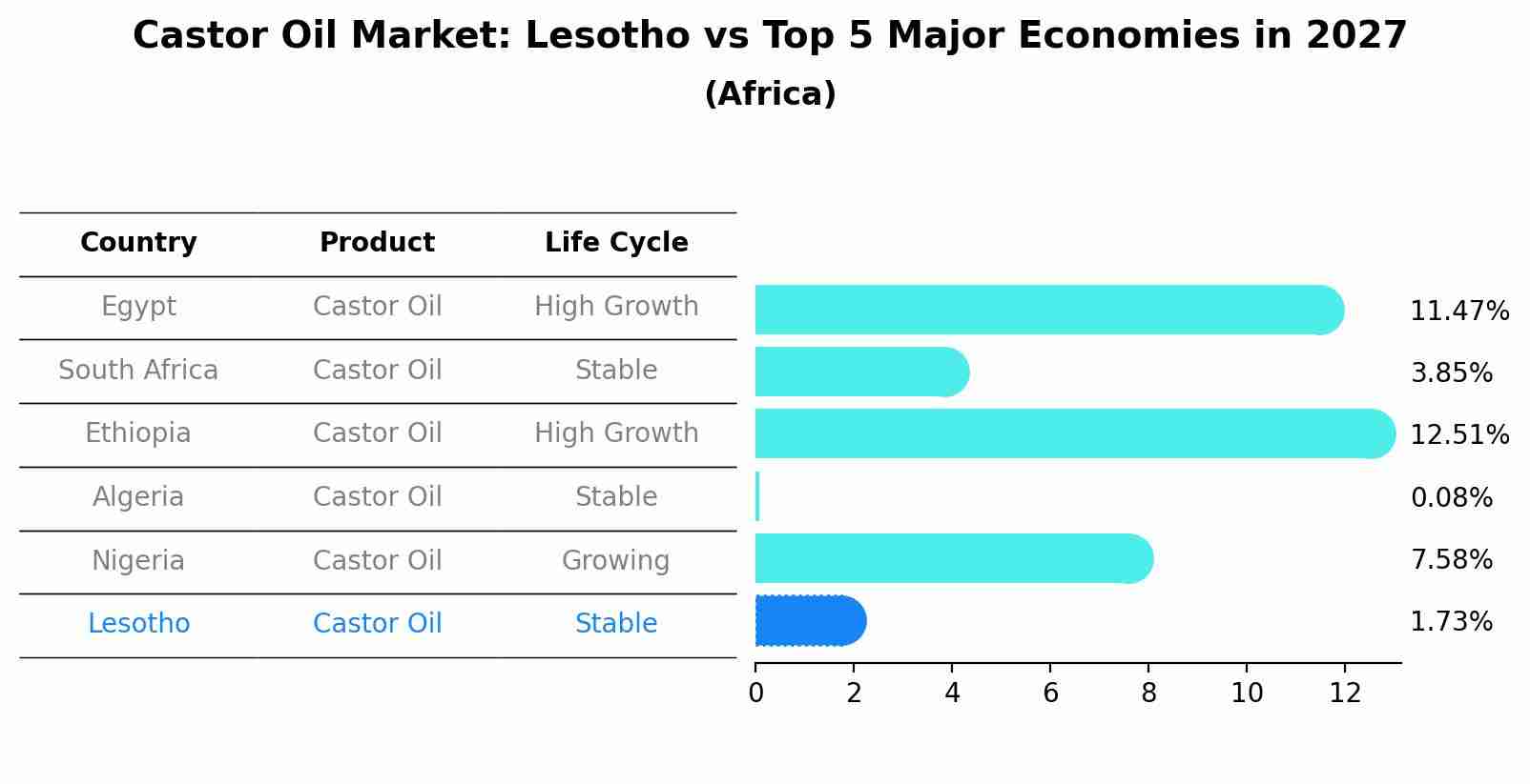 Castor Oil Market: Lesotho vs Top 5 Major Economies in 2027 (Africa)