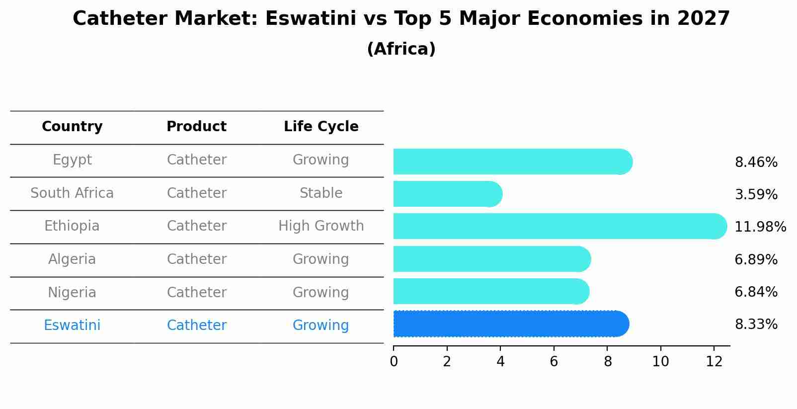 Catheter Market: Eswatini vs Top 5 Major Economies in 2027 (Africa)