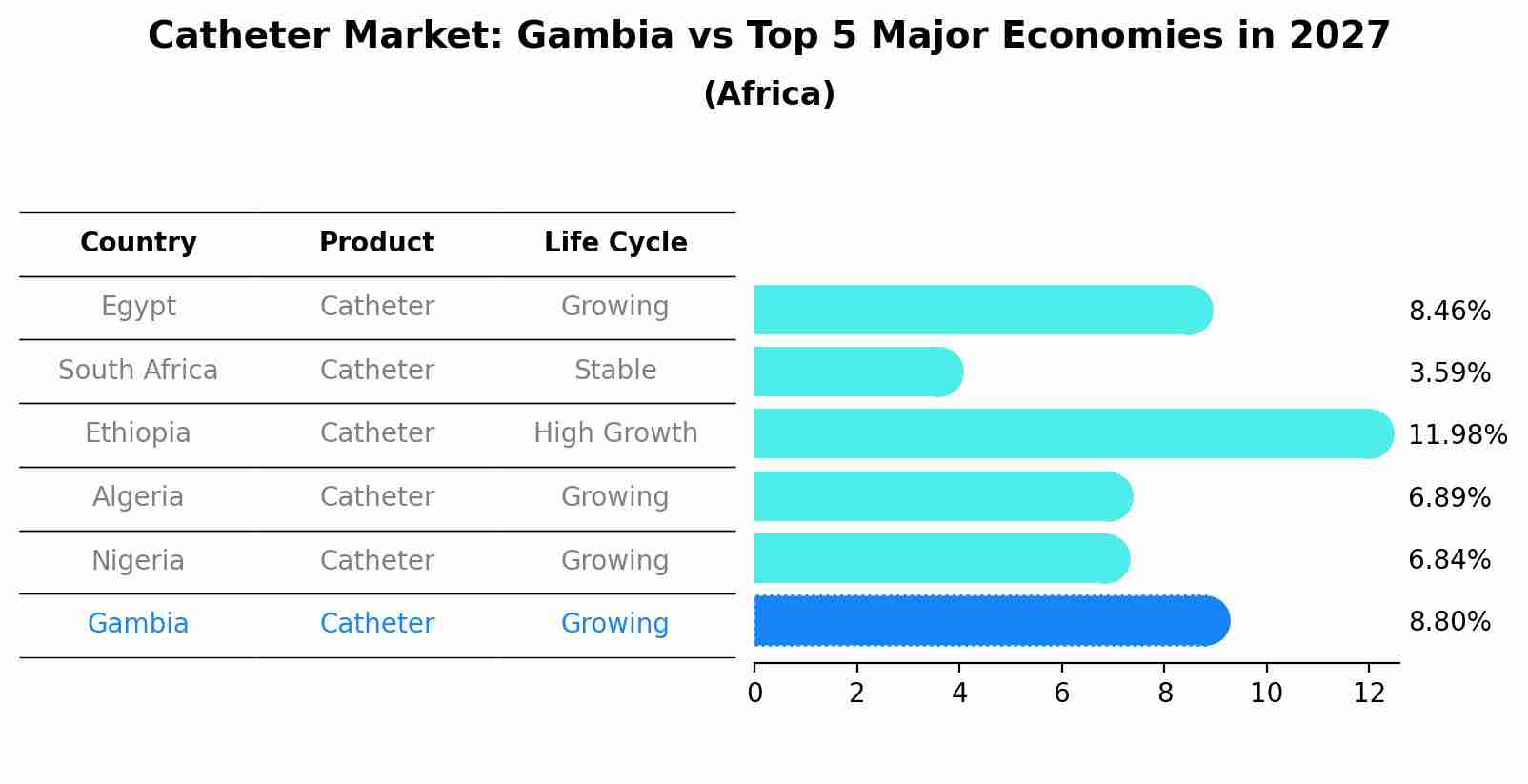 Catheter Market: Gambia vs Top 5 Major Economies in 2027 (Africa)