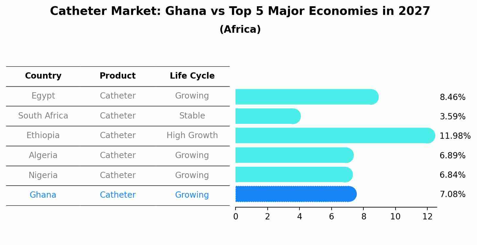 Catheter Market: Ghana vs Top 5 Major Economies in 2027 (Africa)