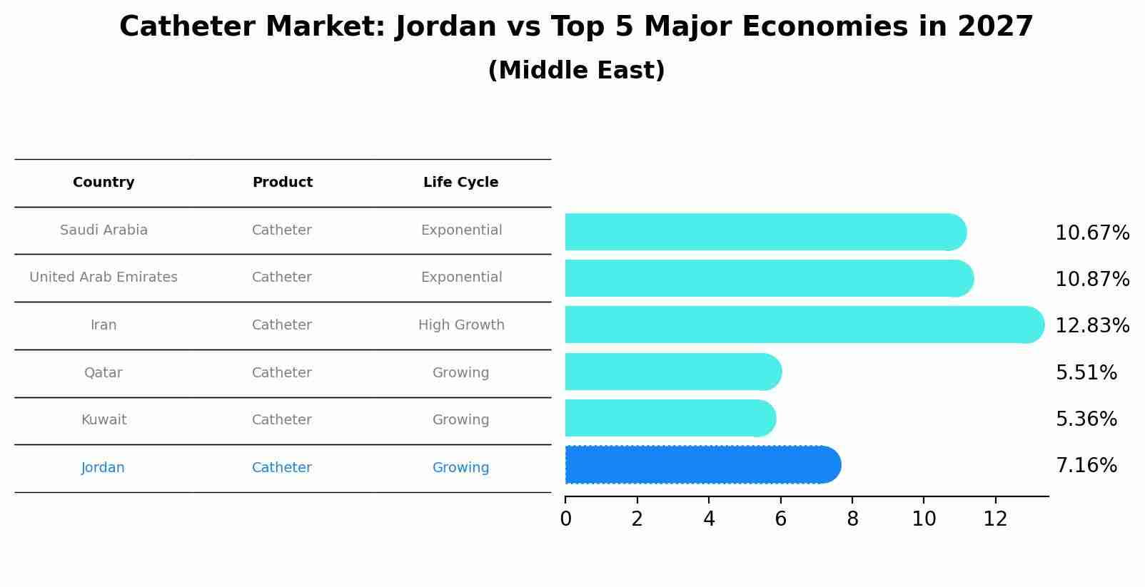 Catheter Market: Jordan vs Top 5 Major Economies in 2027 (Middle East)