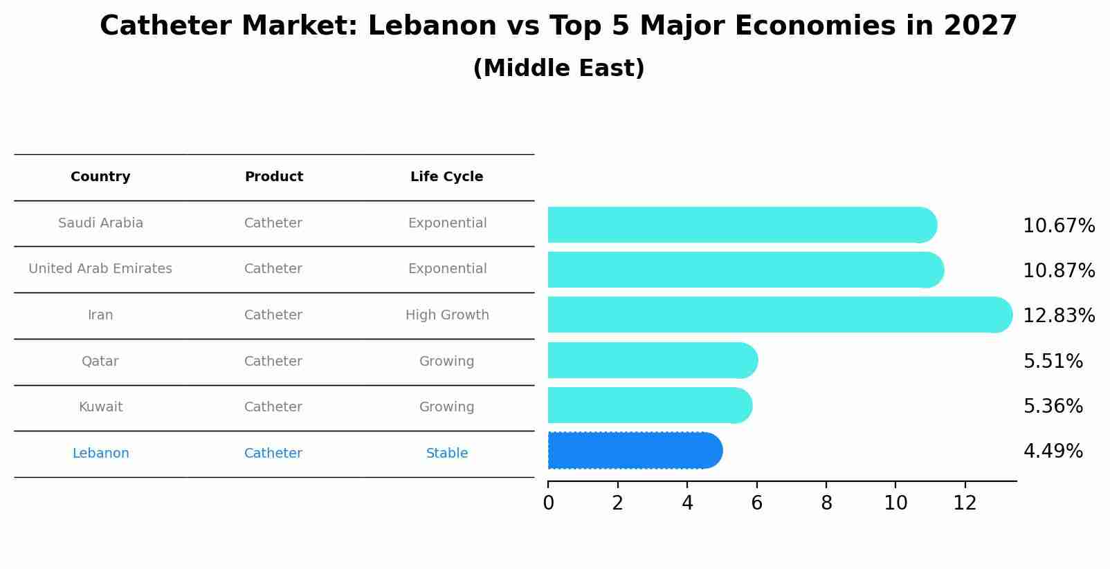 Catheter Market: Lebanon vs Top 5 Major Economies in 2027 (Middle East)