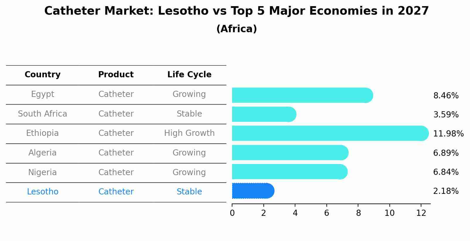 Catheter Market: Lesotho vs Top 5 Major Economies in 2027 (Africa)