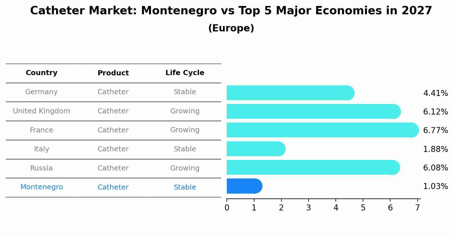 Catheter Market: Montenegro vs Top 5 Major Economies in 2027 (Europe)