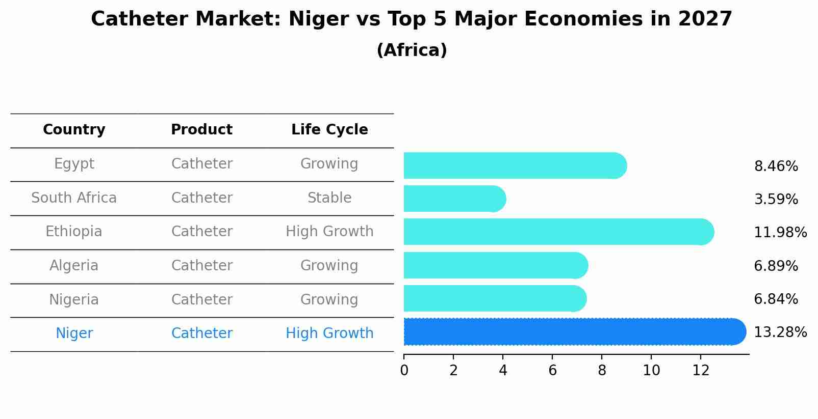 Catheter Market: Niger vs Top 5 Major Economies in 2027 (Africa)
