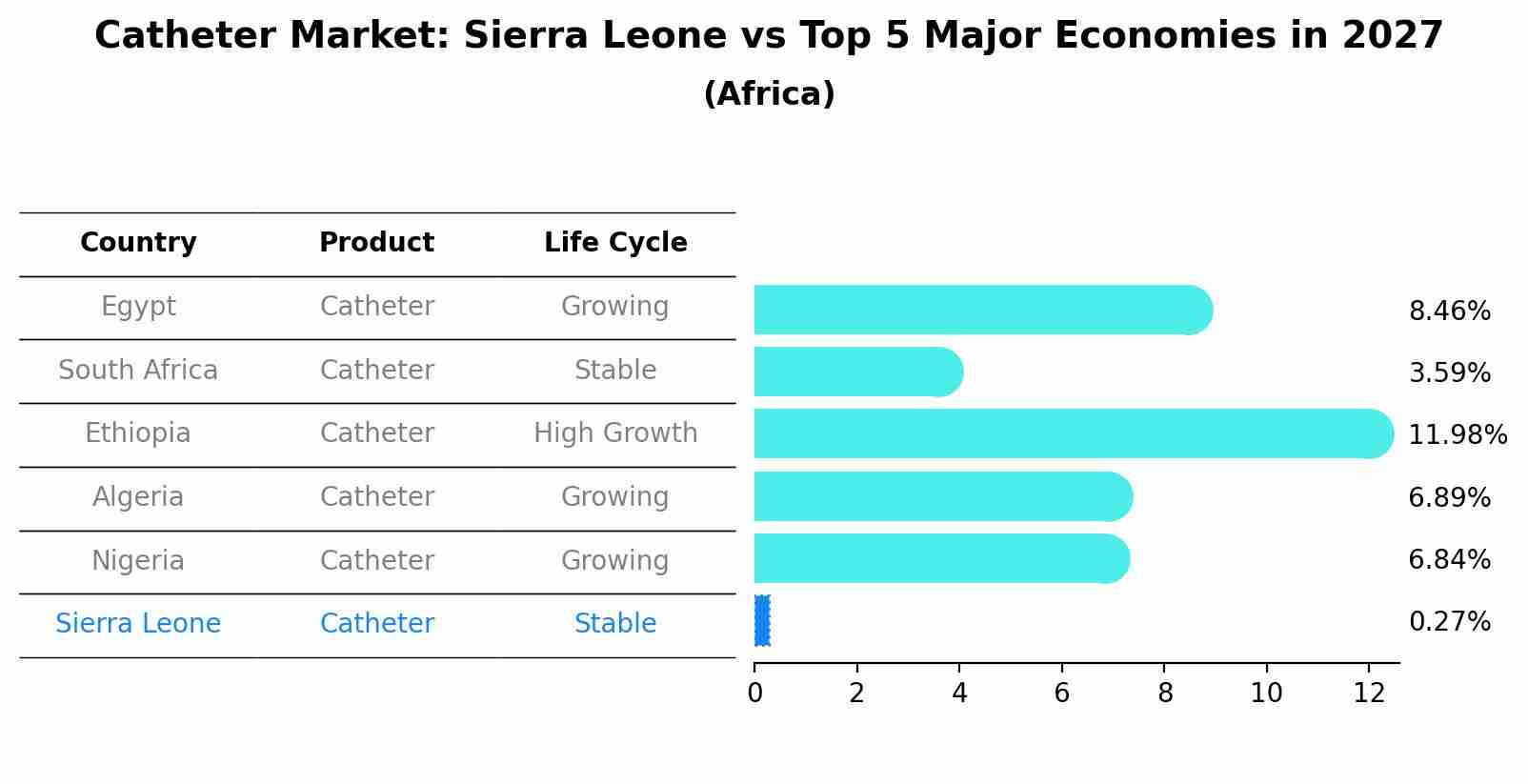 Catheter Market: Sierra Leone vs Top 5 Major Economies in 2027 (Africa)