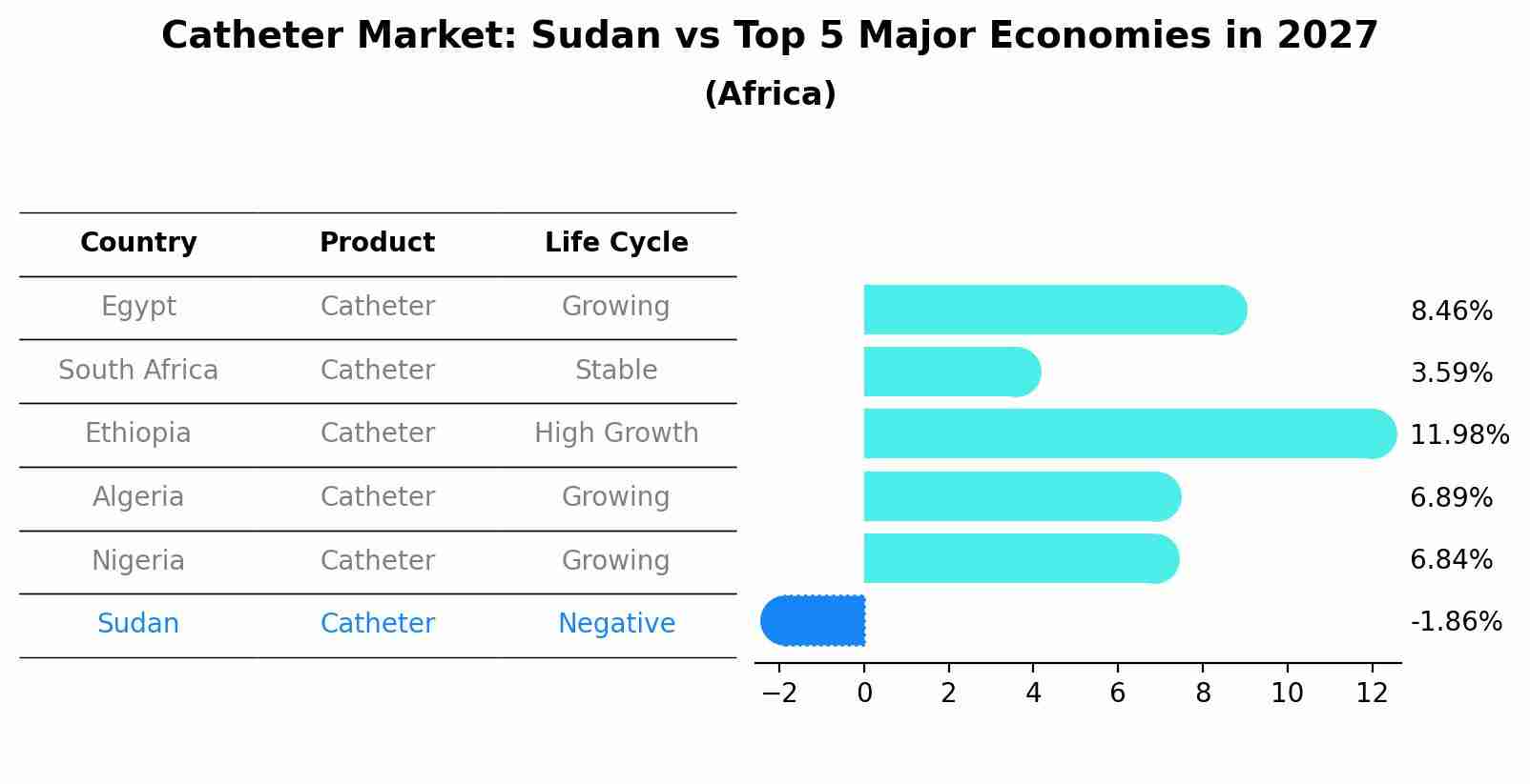 Catheter Market: Sudan vs Top 5 Major Economies in 2027 (Africa)