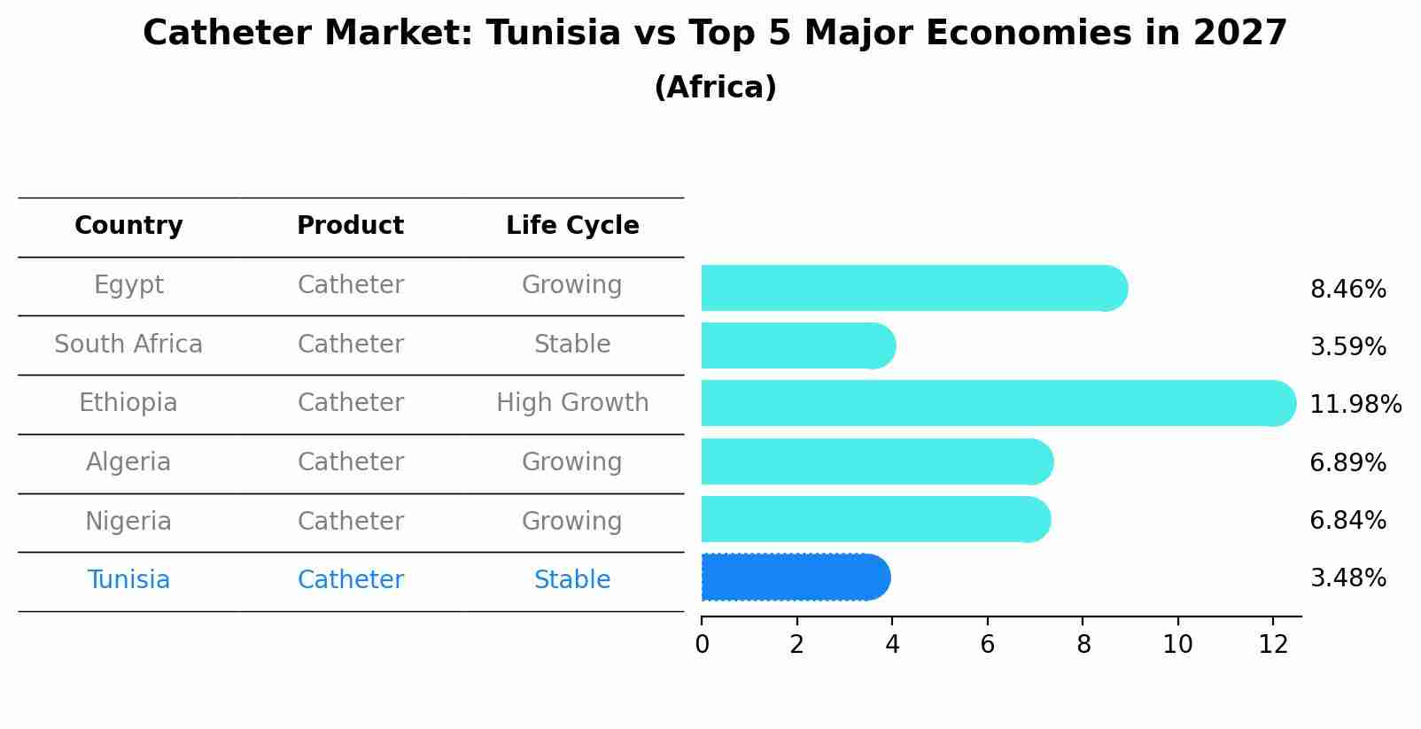 Catheter Market: Tunisia vs Top 5 Major Economies in 2027 (Africa)