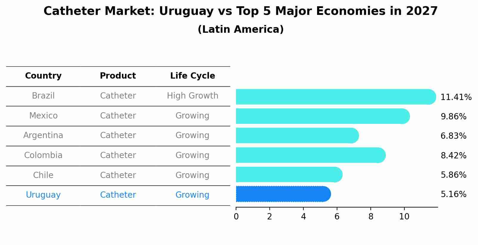 Catheter Market: Uruguay vs Top 5 Major Economies in 2027 (Latin America)