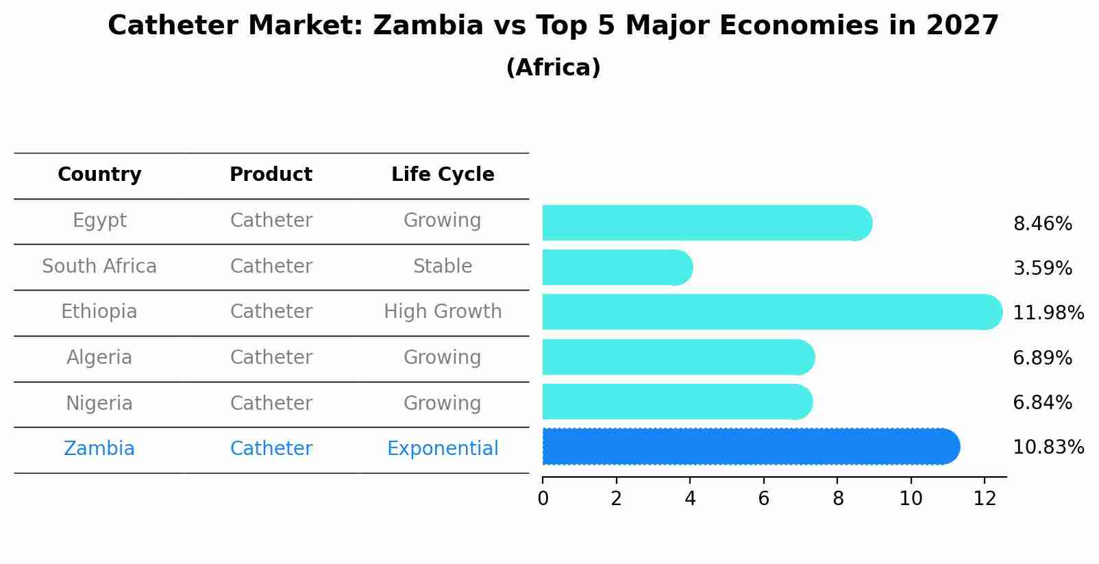 Catheter Market: Zambia vs Top 5 Major Economies in 2027 (Africa)