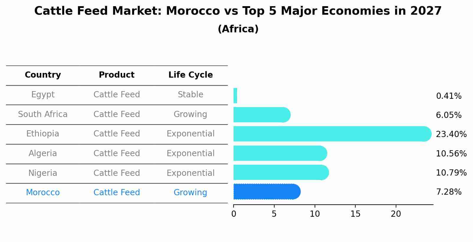 Cattle Feed Market: Morocco vs Top 5 Major Economies in 2027 (Africa)