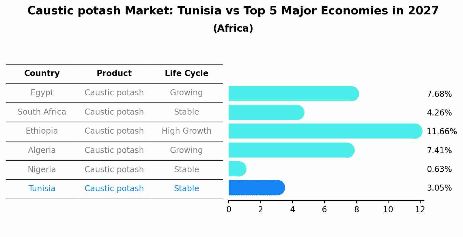 Caustic potash Market: Tunisia vs Top 5 Major Economies in 2027 (Africa)