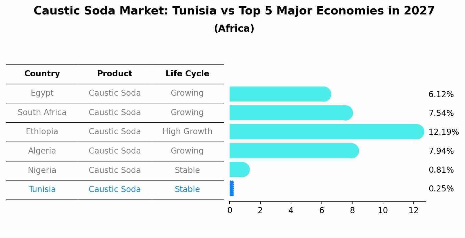 Caustic Soda Market: Tunisia vs Top 5 Major Economies in 2027 (Africa)