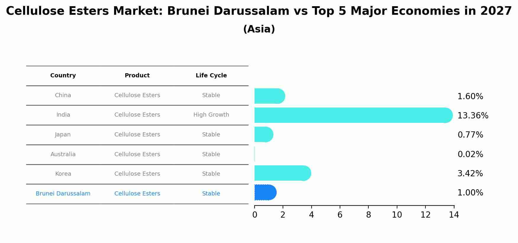 Cellulose Esters Market: Brunei Darussalam vs Top 5 Major Economies in 2027 (Asia)