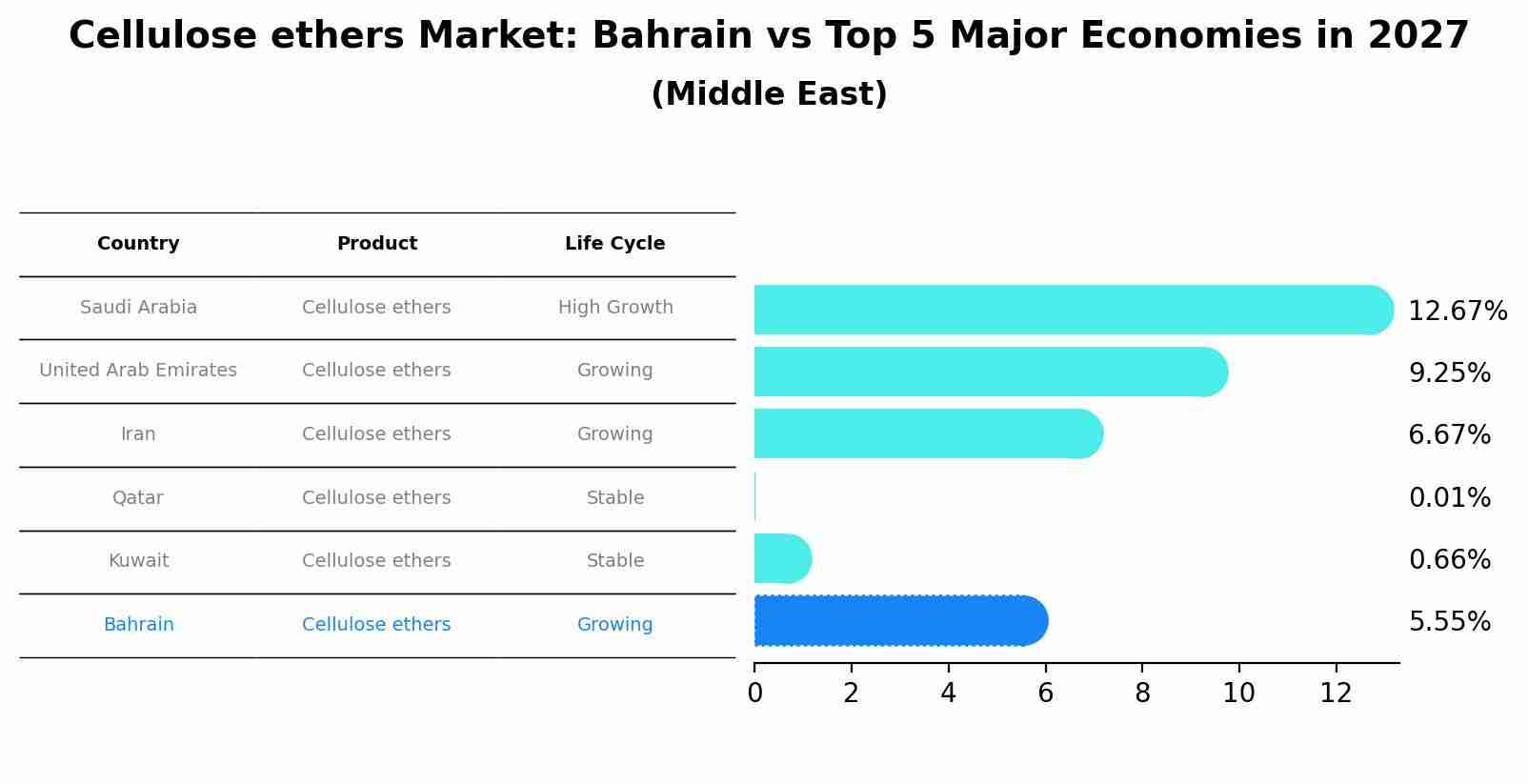 Cellulose ethers Market: Bahrain vs Top 5 Major Economies in 2027 (Middle East)