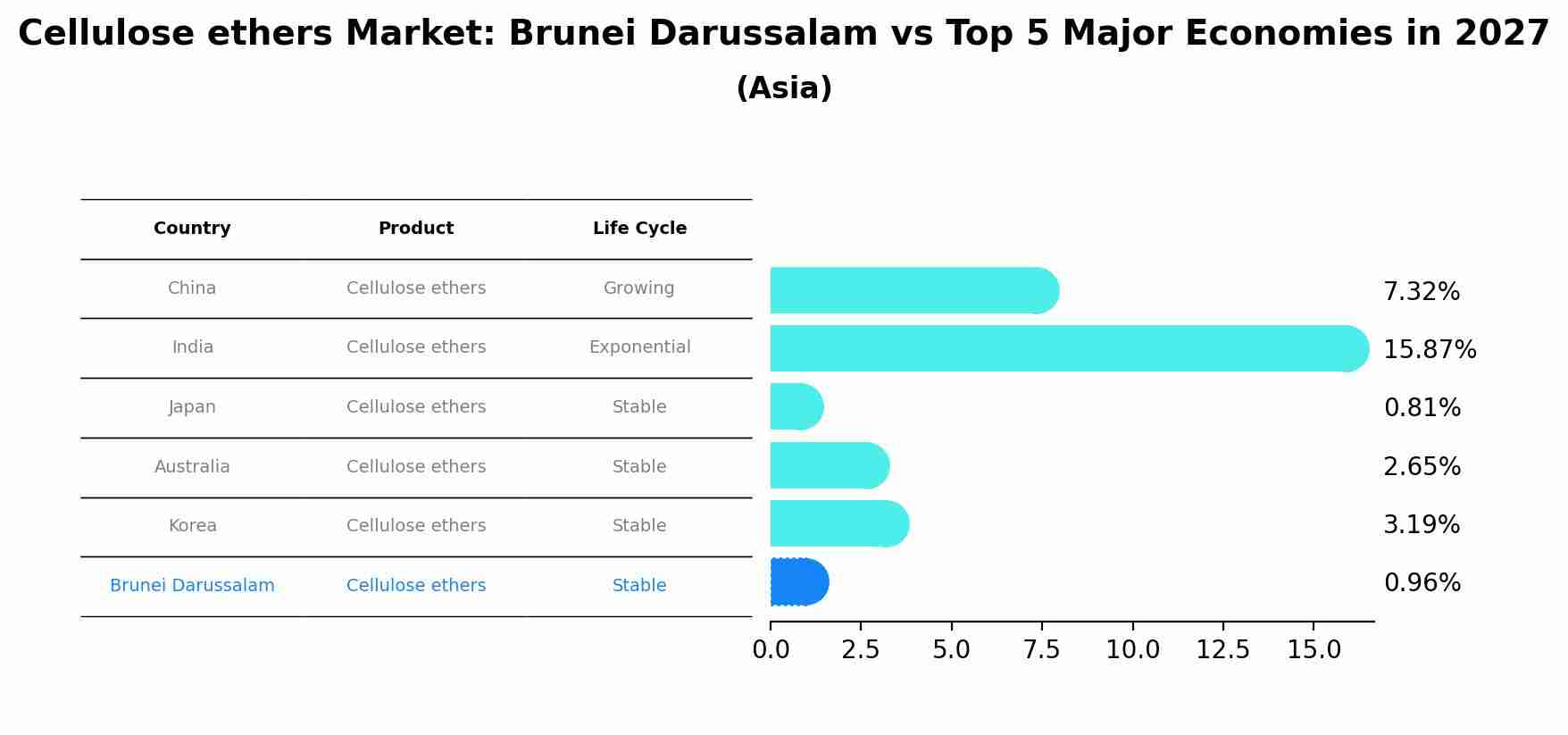 Cellulose ethers Market: Brunei Darussalam vs Top 5 Major Economies in 2027 (Asia)
