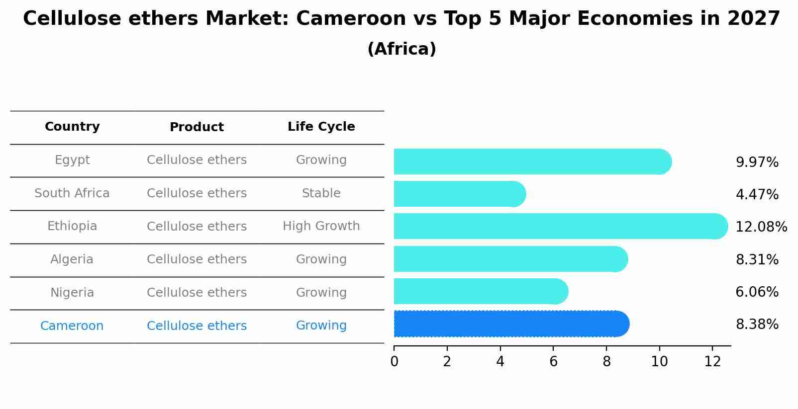 Cellulose ethers Market: Cameroon vs Top 5 Major Economies in 2027 (Africa)