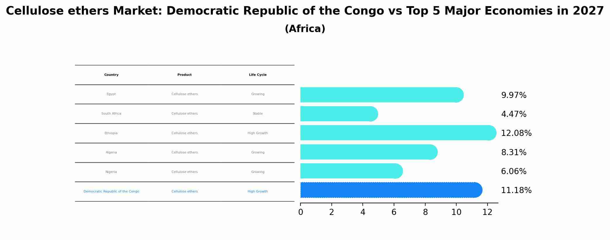 Cellulose ethers Market: Democratic Republic of the Congo vs Top 5 Major Economies in 2027 (Africa)