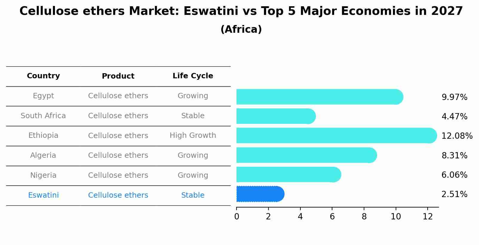 Cellulose ethers Market: Eswatini vs Top 5 Major Economies in 2027 (Africa)