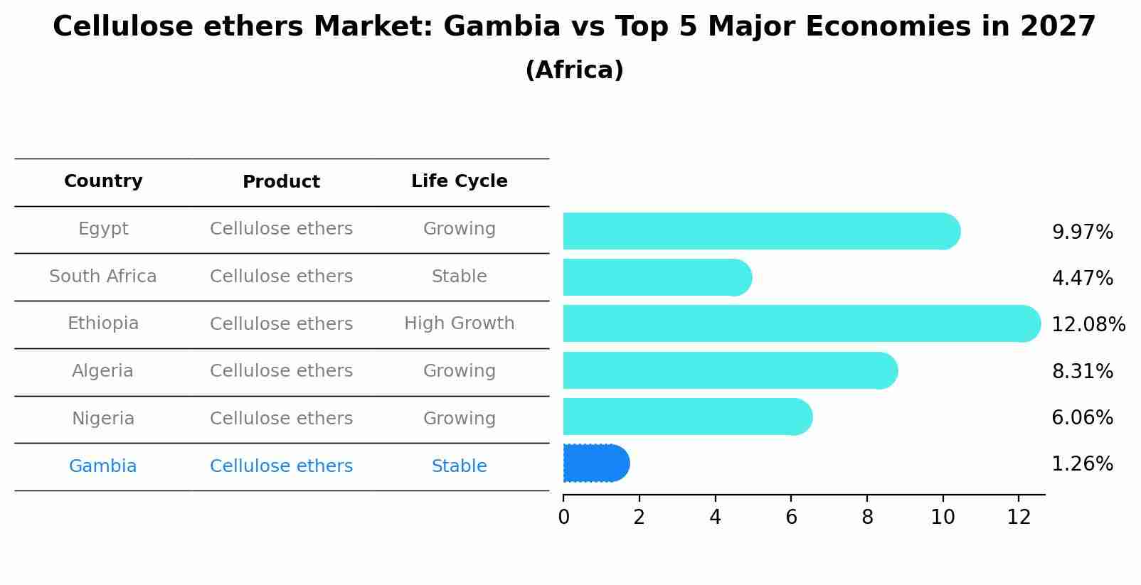 Cellulose ethers Market: Gambia vs Top 5 Major Economies in 2027 (Africa)