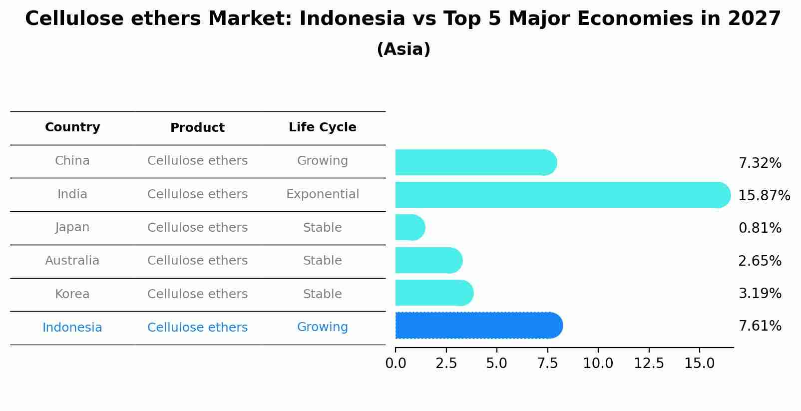 Cellulose ethers Market: Indonesia vs Top 5 Major Economies in 2027 (Asia)