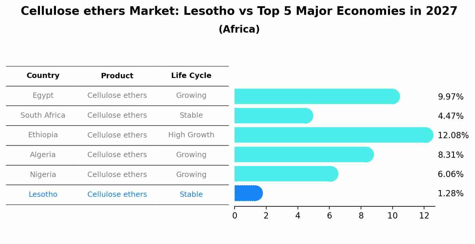 Cellulose ethers Market: Lesotho vs Top 5 Major Economies in 2027 (Africa)
