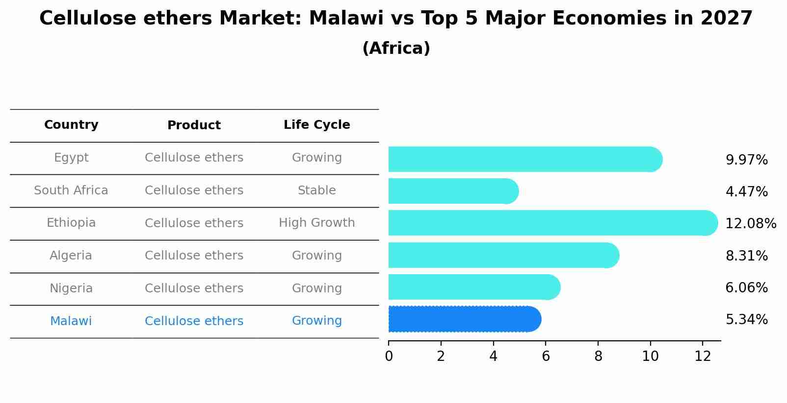 Cellulose ethers Market: Malawi vs Top 5 Major Economies in 2027 (Africa)