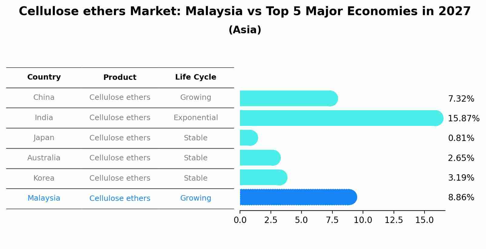 Cellulose ethers Market: Malaysia vs Top 5 Major Economies in 2027 (Asia)