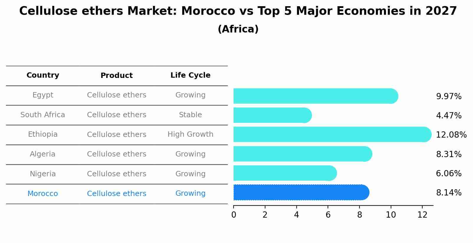 Cellulose ethers Market: Morocco vs Top 5 Major Economies in 2027 (Africa)
