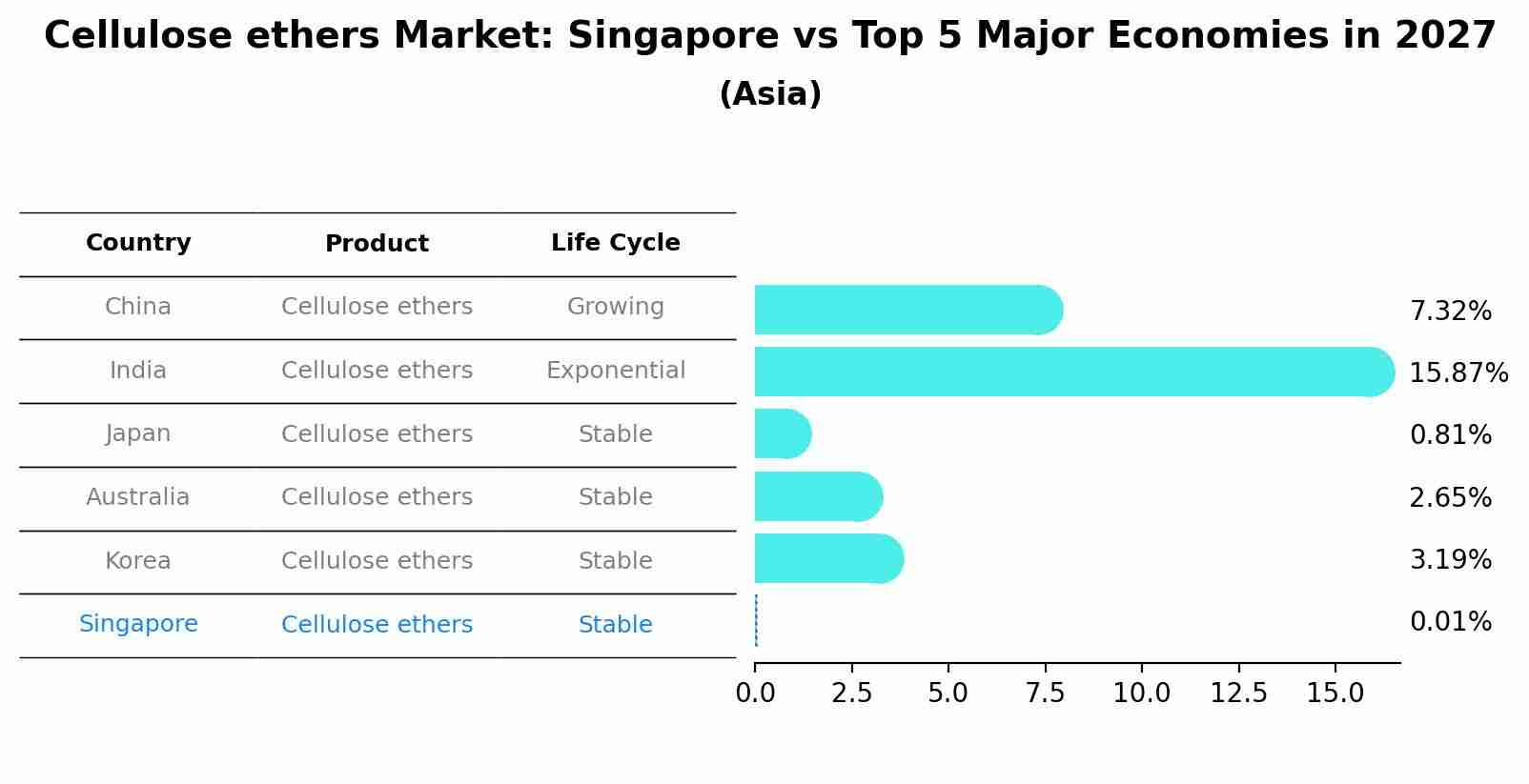 Cellulose ethers Market: Singapore vs Top 5 Major Economies in 2027 (Asia)