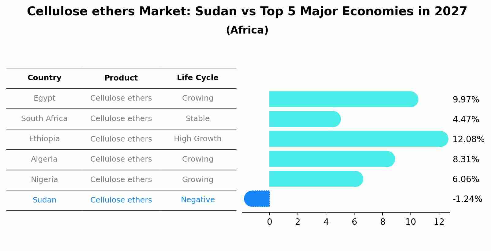 Cellulose ethers Market: Sudan vs Top 5 Major Economies in 2027 (Africa)
