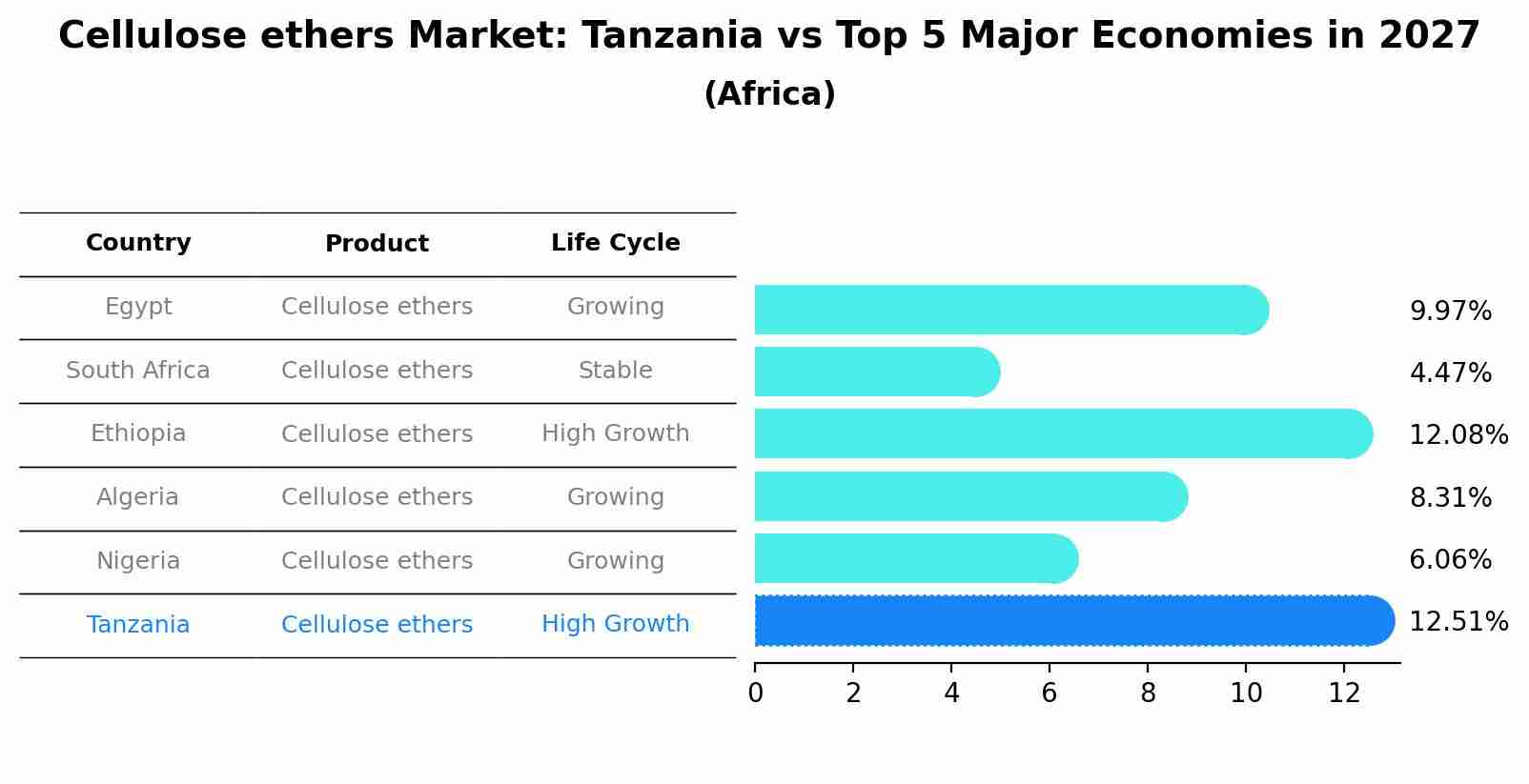 Cellulose ethers Market: Tanzania vs Top 5 Major Economies in 2027 (Africa)