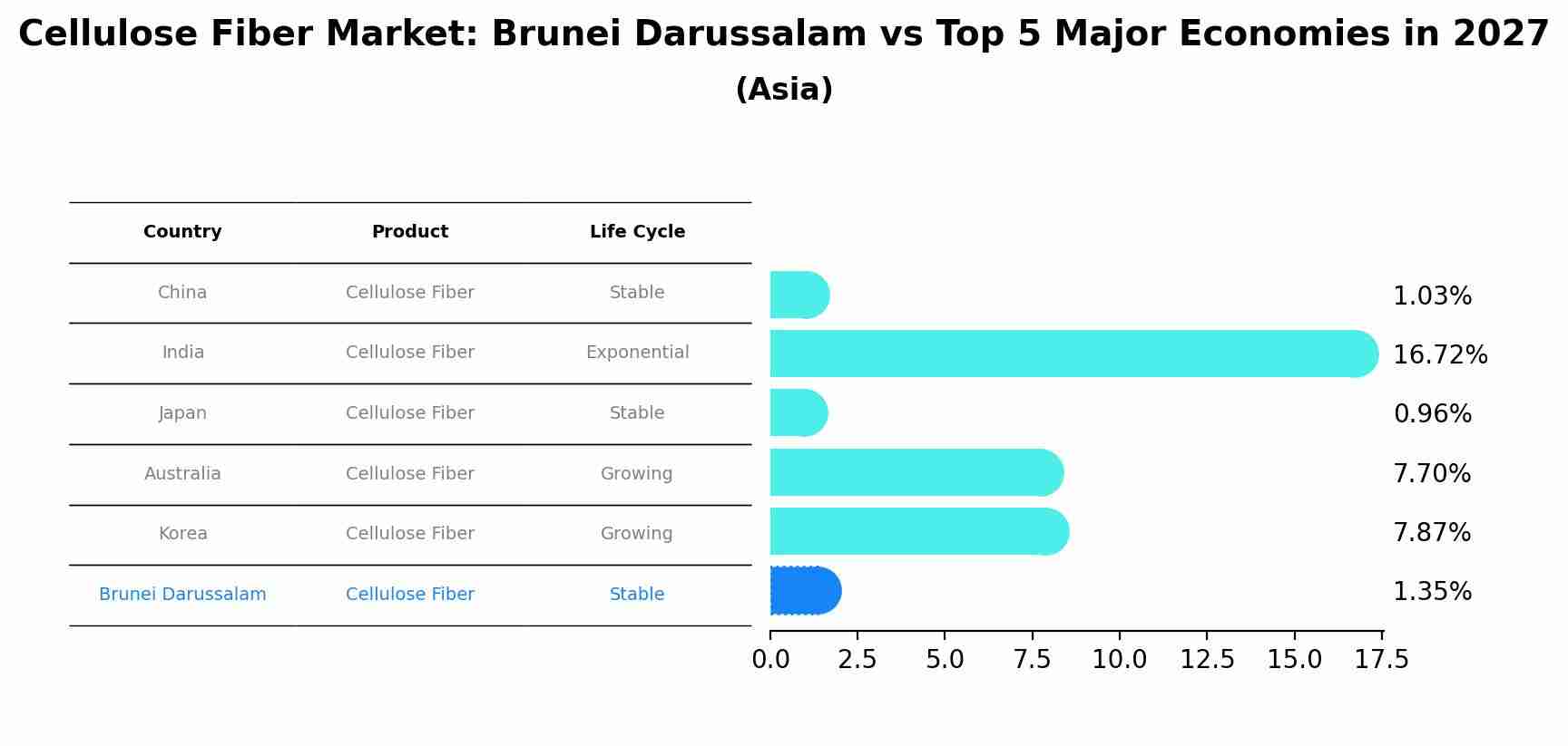 Cellulose Fiber Market: Brunei Darussalam vs Top 5 Major Economies in 2027 (Asia)