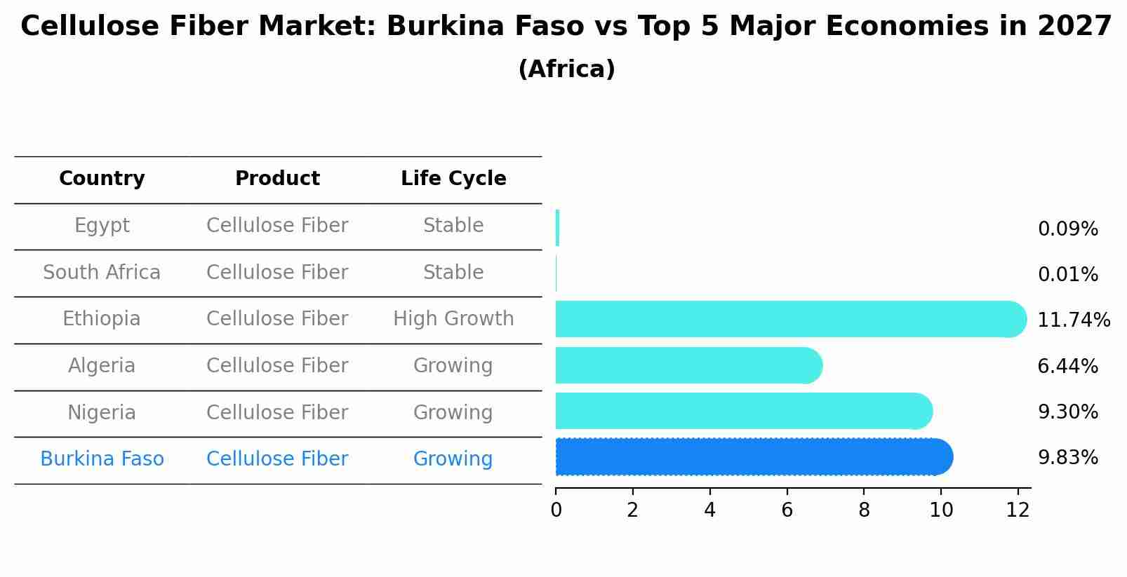 Cellulose Fiber Market: Burkina Faso vs Top 5 Major Economies in 2027 (Africa)