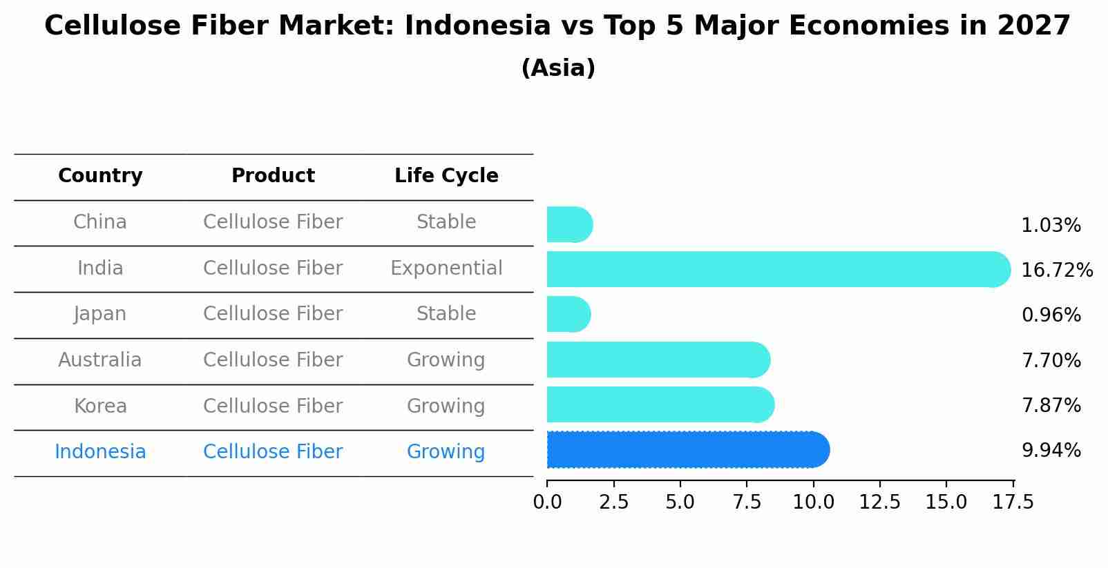 Cellulose Fiber Market: Indonesia vs Top 5 Major Economies in 2027 (Asia)