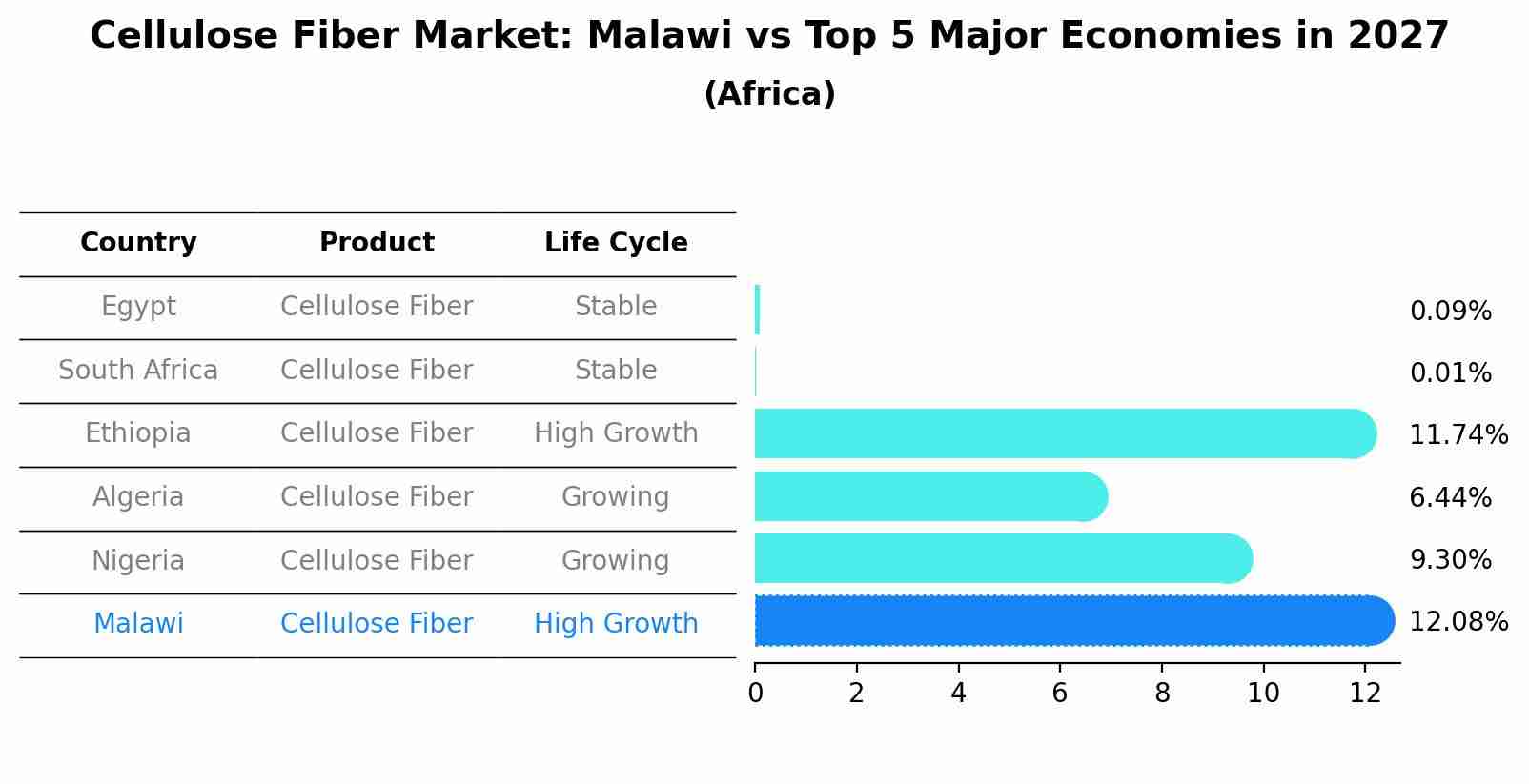Cellulose Fiber Market: Malawi vs Top 5 Major Economies in 2027 (Africa)