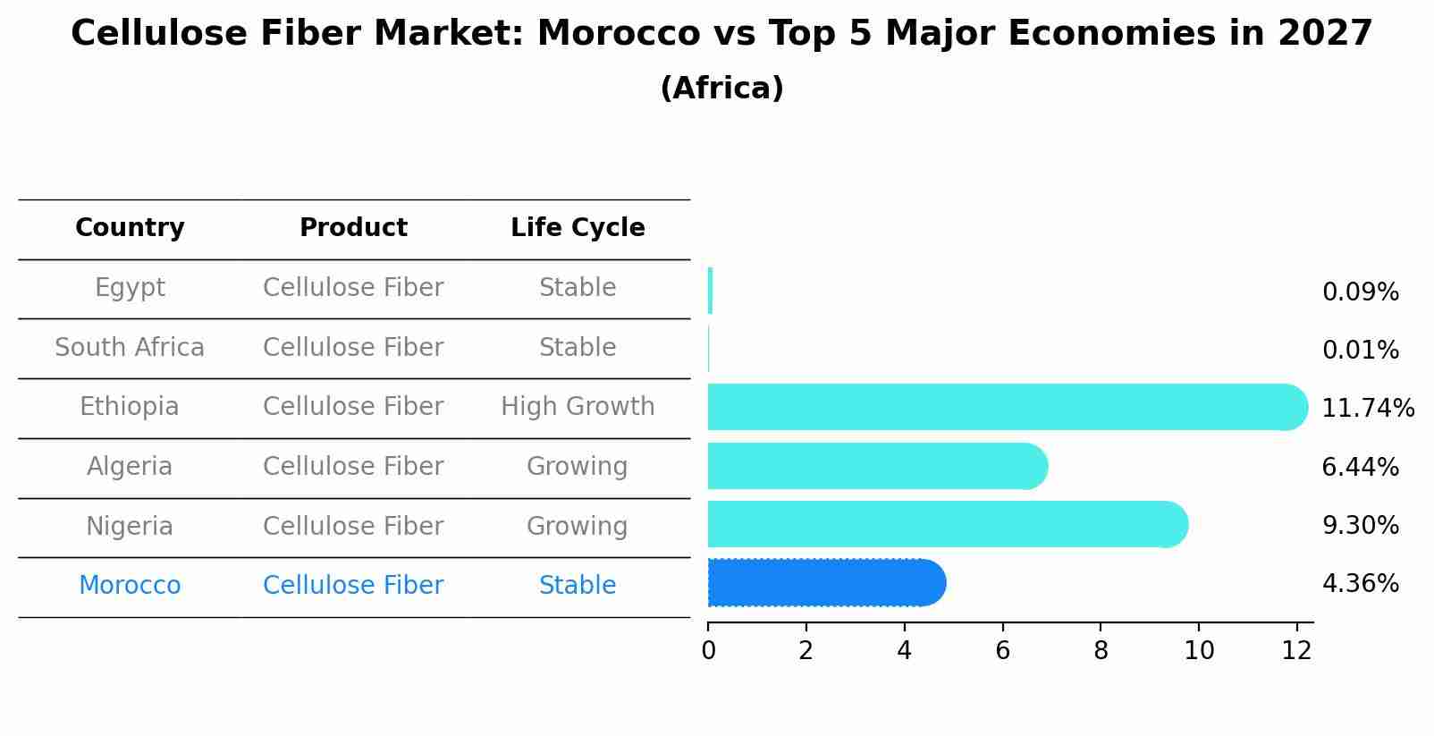 Cellulose Fiber Market: Morocco vs Top 5 Major Economies in 2027 (Africa)
