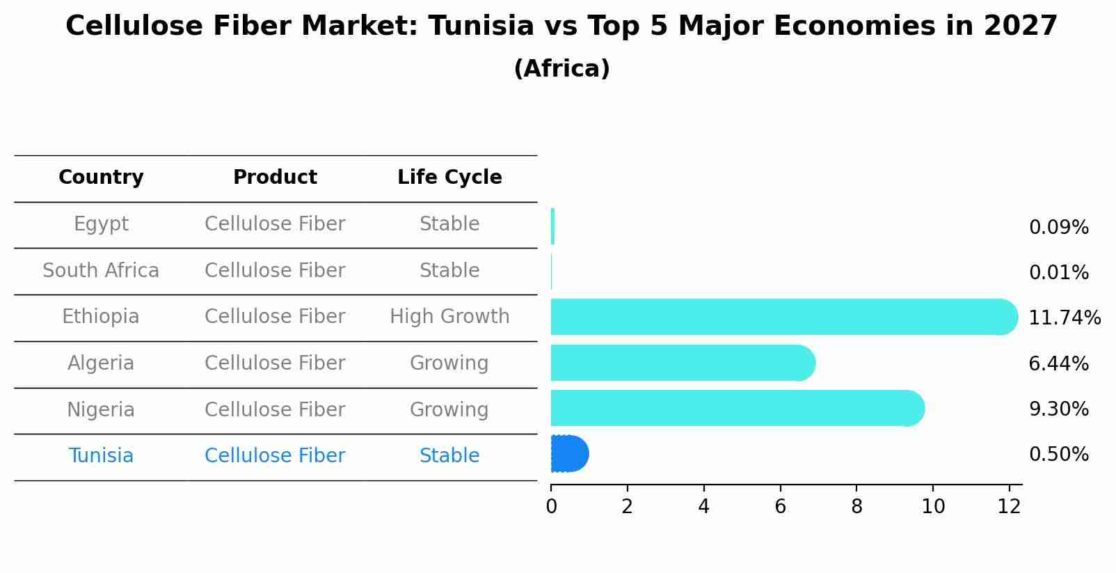 Cellulose Fiber Market: Tunisia vs Top 5 Major Economies in 2027 (Africa)