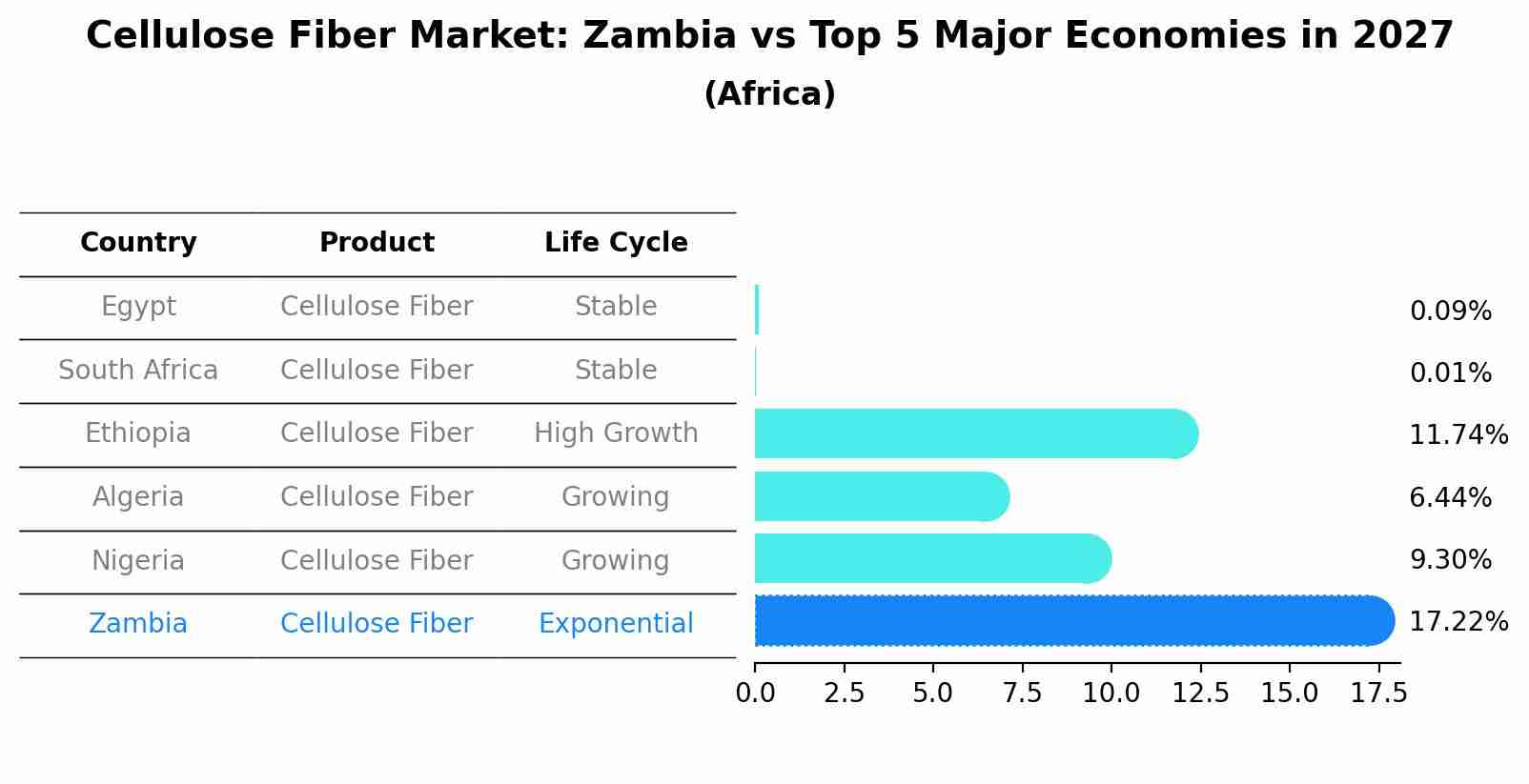 Cellulose Fiber Market: Zambia vs Top 5 Major Economies in 2027 (Africa)