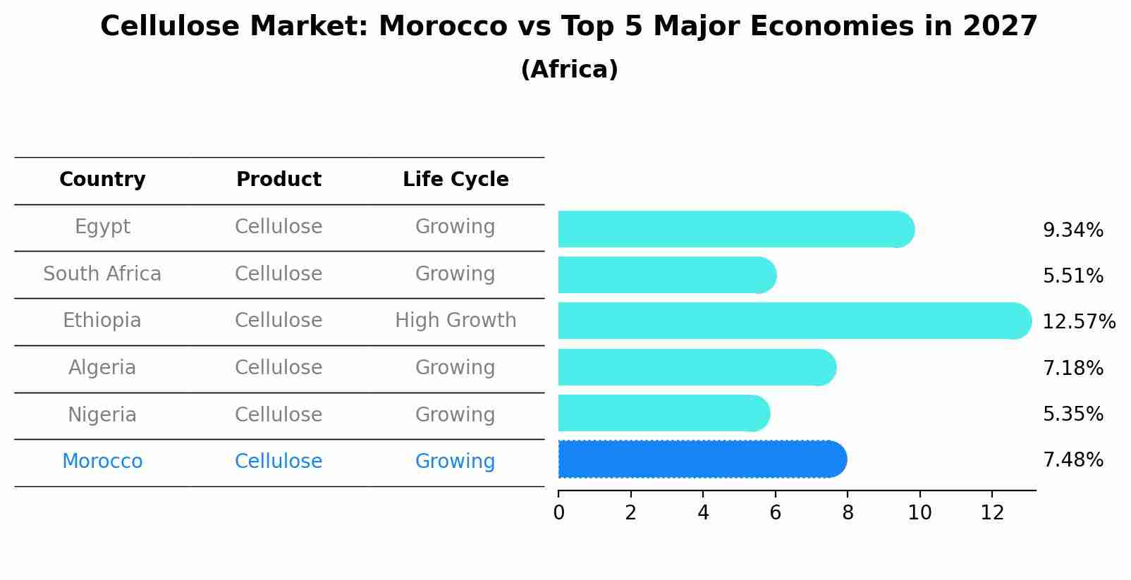 Cellulose Market: Morocco vs Top 5 Major Economies in 2027 (Africa)