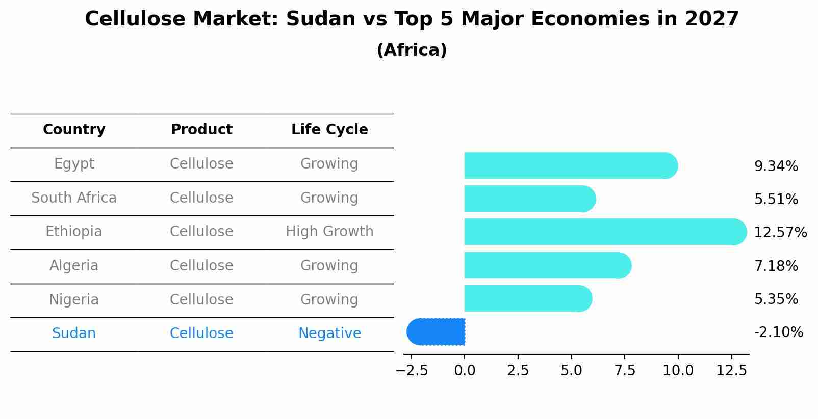 Cellulose Market: Sudan vs Top 5 Major Economies in 2027 (Africa)