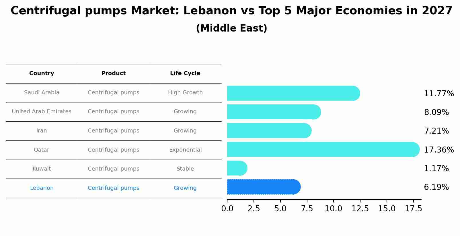 Centrifugal pumps Market: Lebanon vs Top 5 Major Economies in 2027 (Middle East)