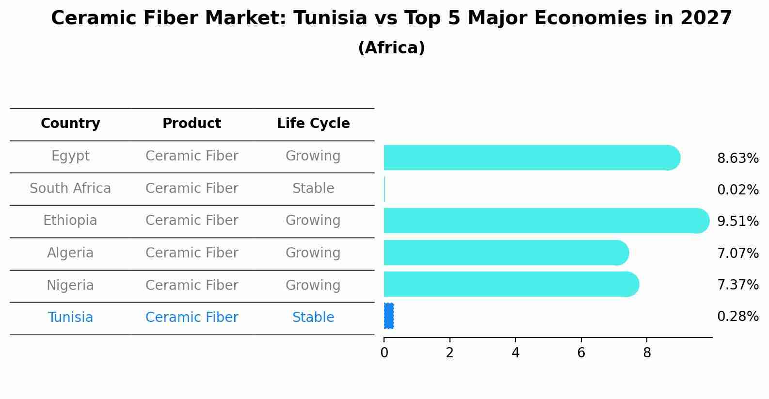Ceramic Fiber Market: Tunisia vs Top 5 Major Economies in 2027 (Africa)
