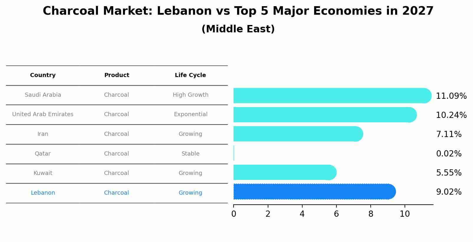 Charcoal Market: Lebanon vs Top 5 Major Economies in 2027 (Middle East)