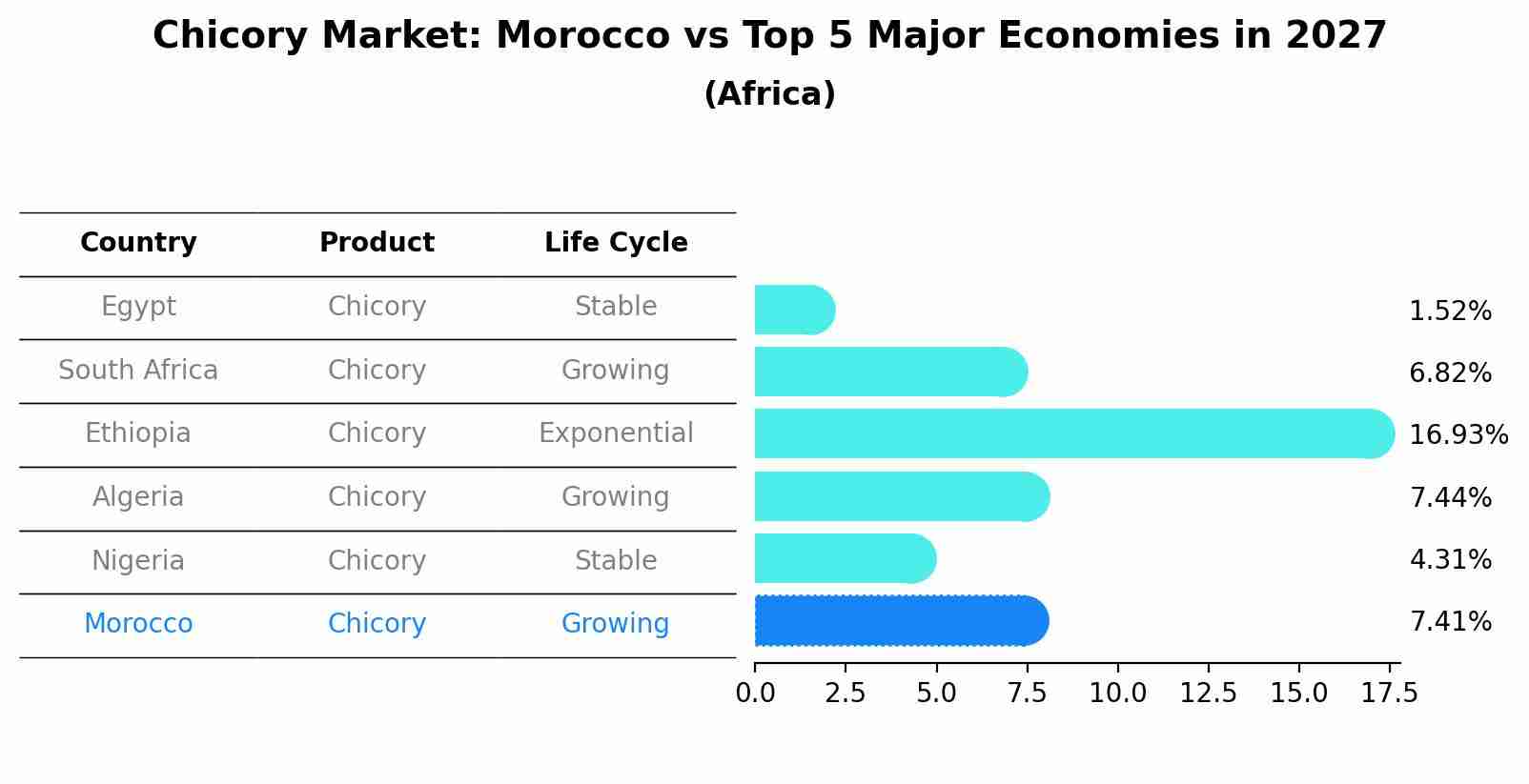 Chicory Market: Morocco vs Top 5 Major Economies in 2027 (Africa)