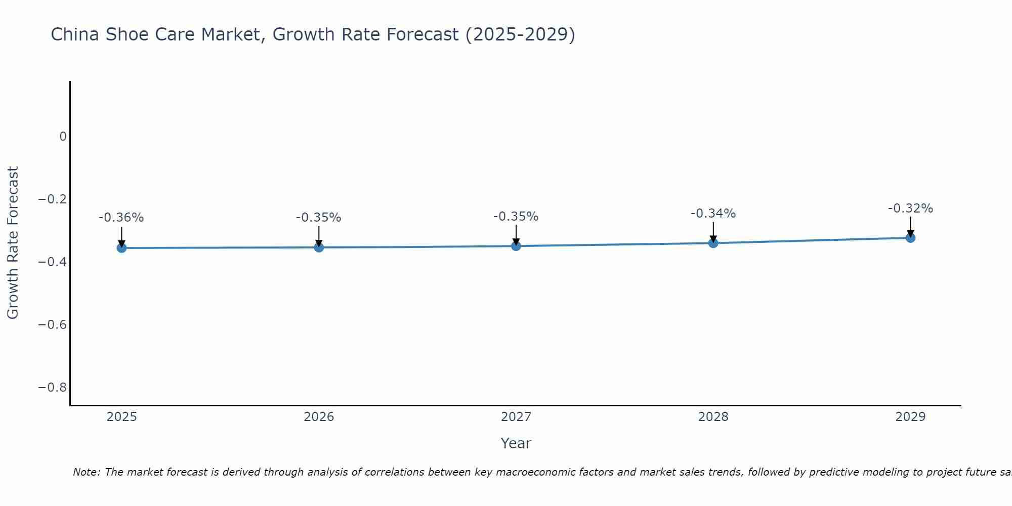China Shoe Care Market Growth Rate
