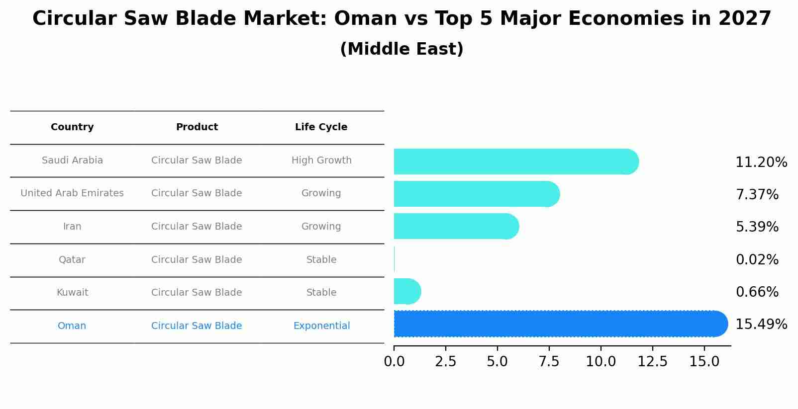Circular Saw Blade Market: Oman vs Top 5 Major Economies in 2027 (Middle East)