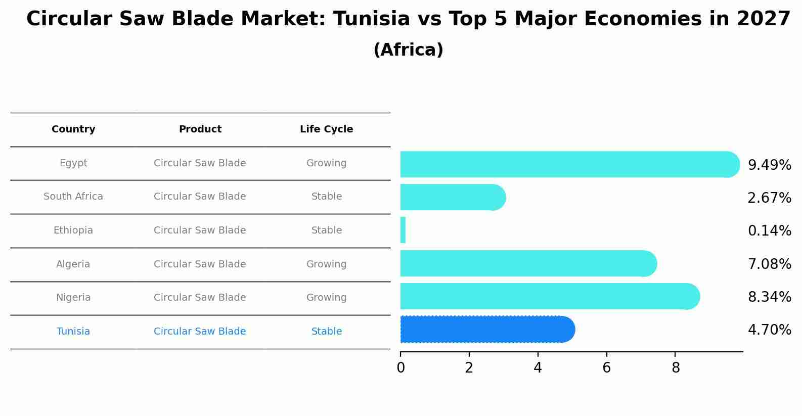Circular Saw Blade Market: Tunisia vs Top 5 Major Economies in 2027 (Africa)